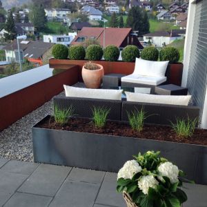 Pflanztrog 017
